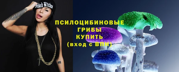мдма Михайловск