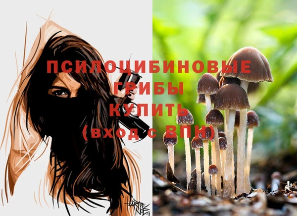 мдма Михайловск