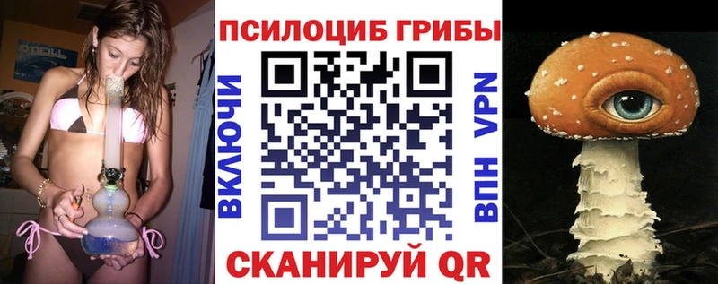 Псилоцибиновые грибы прущие грибы  цены наркотик  Белая Холуница 
