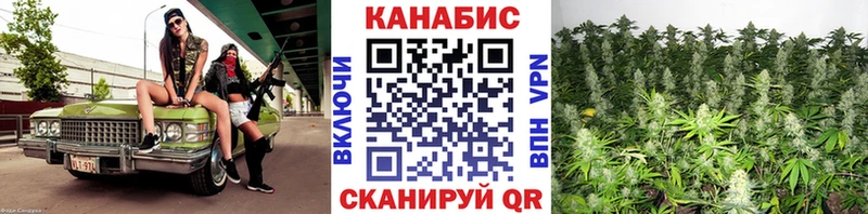 Конопля VHQ  Белая Холуница 